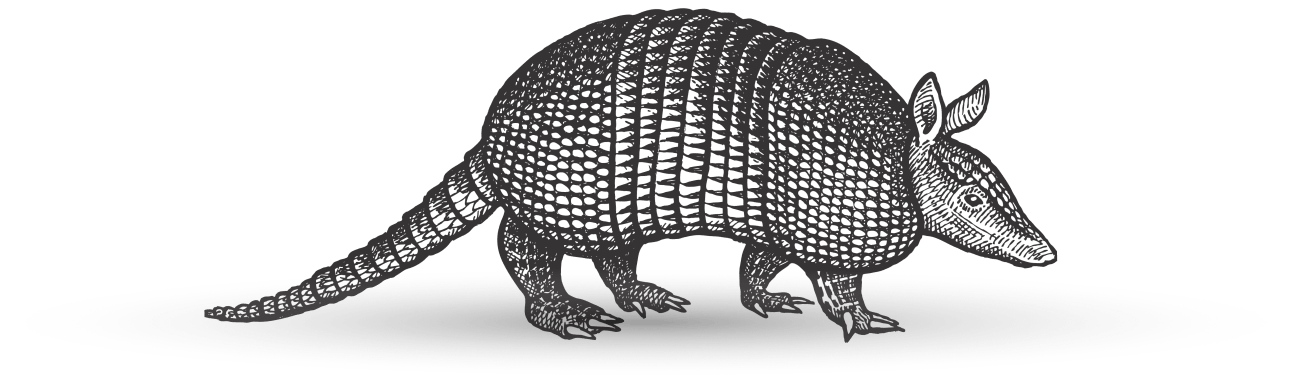 Armadillo illustration
